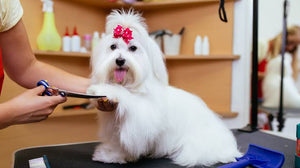 MAKING GROOMING FEEL SIMPLE