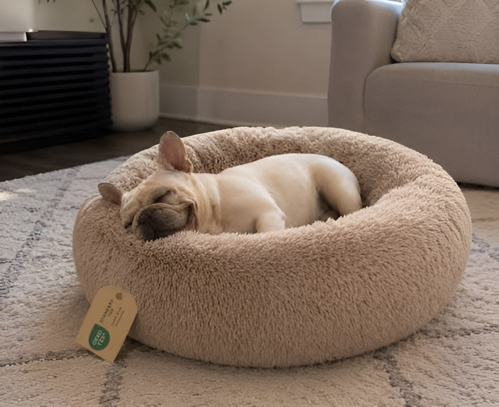 COZY REST FOR HAPPY PETS