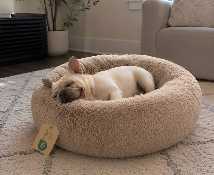 COZY REST FOR HAPPY PETS