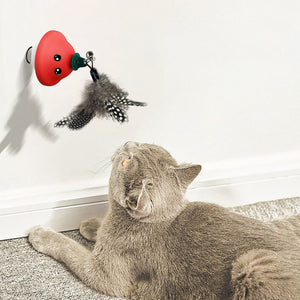 Unleash Endless Fun with the Retractable Pet Wand Teaser Toy