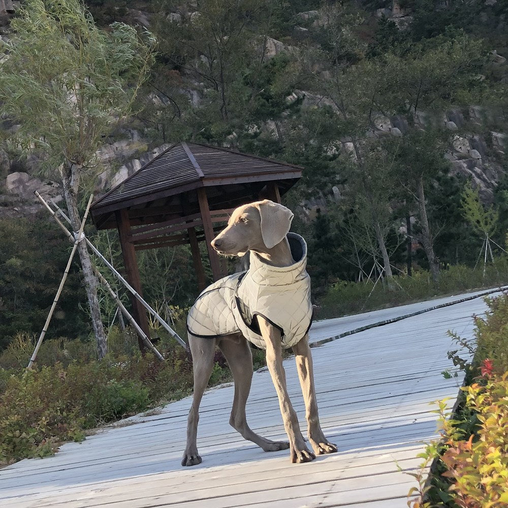 Why Your Pet Needs the Full-Body Reflective Tactical Jacket